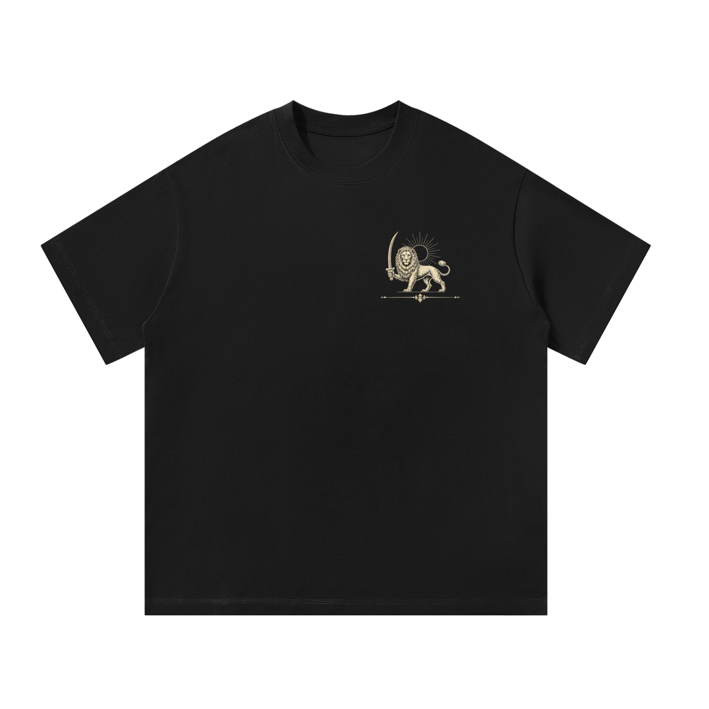 Iran Heritage Oversized Cotton T-Shirt